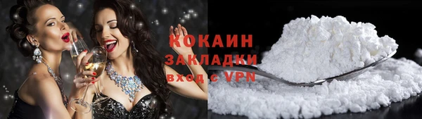 гидра Заводоуковск