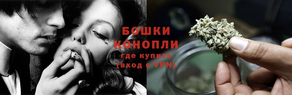 гидра Заводоуковск