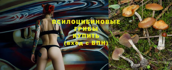 гидра Заводоуковск