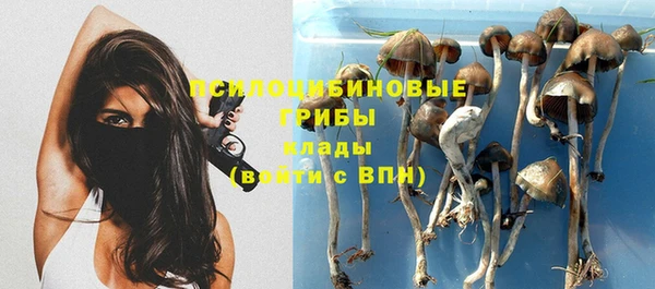 гидра Заводоуковск