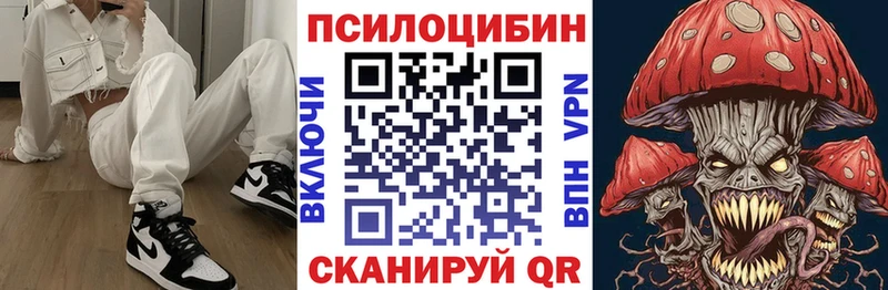 Псилоцибиновые грибы Psilocybe  Купить закладки  Кологрив 